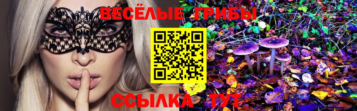 Галлюциногенные грибы Psilocybine cubensis Углич